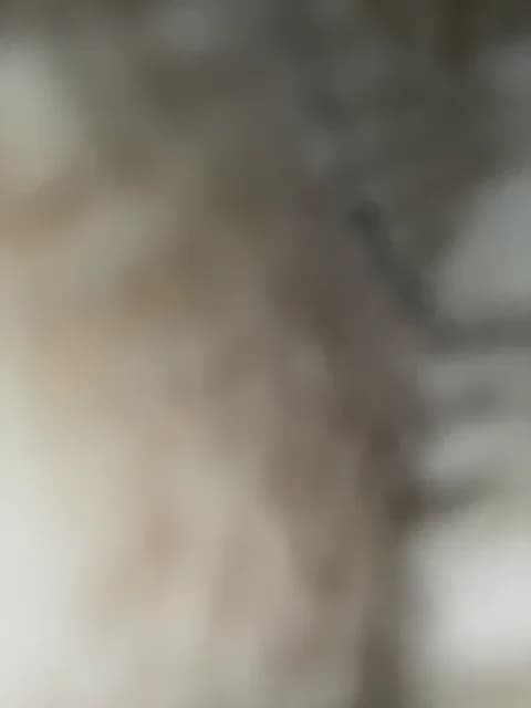 KARASEVDAKINOGO Leak #11493 - Feb 4, 2026 10:25 [78m]