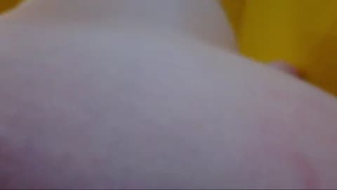 SklavinYuri Leak #20423 - Mar 14, 2026 21:45 [44m]