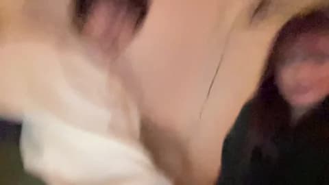 bkws985 Leak #11857 - Feb 21, 2026 04:12 [60m]