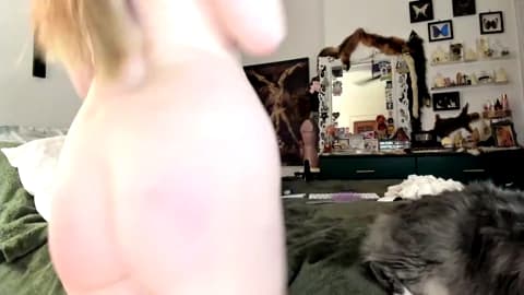 eve003300 Leak #11861 - Feb 21, 2026 04:17 [90m]