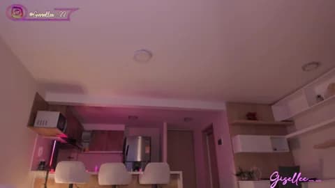 gisellee__ Leak #25546 - Mar 29, 2026 03:25 [120m]