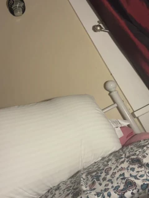 lexuslover687 Leak #21897 - Mar 17, 2026 10:21 [50m]