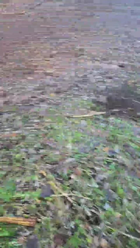 likescock5 Leak #5527 - Jan 16, 2026 16:36 [64m]