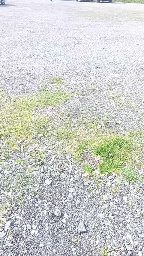 livenews1 Leak #20766 - Mar 15, 2026 11:39 [48m]