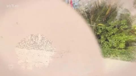 taanni_bc Leak #5229 - Jan 16, 2026 10:19 [76m]